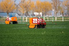 要各地各部分狠抓落实、全社会齐心合力